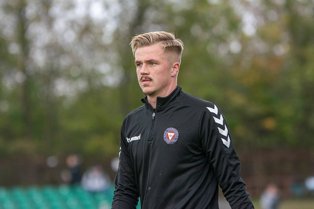 化进攻体系 化进攻体系