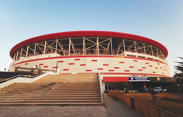 科学的体能 科学的体能