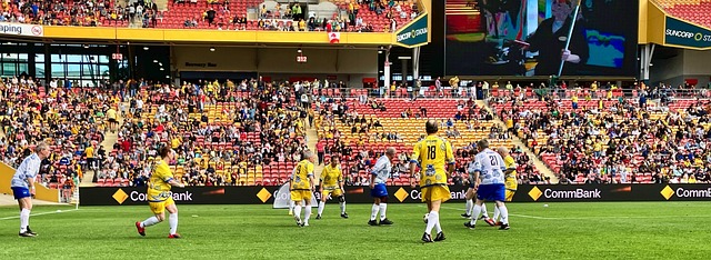 已然成为国 已然成为国