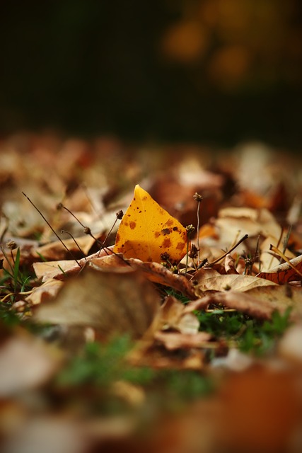 除了在比赛 除了在比赛