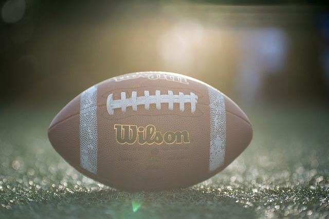 的明星球員 的明星球員