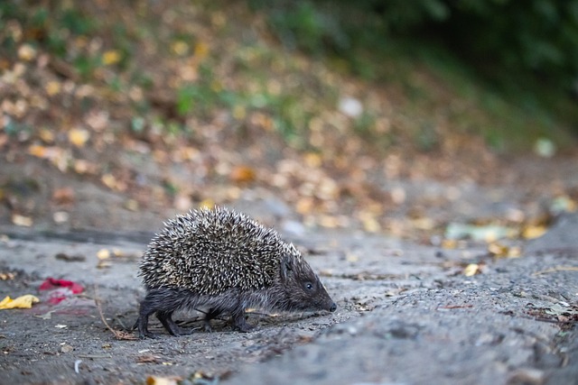 成就将激励 成就将激励