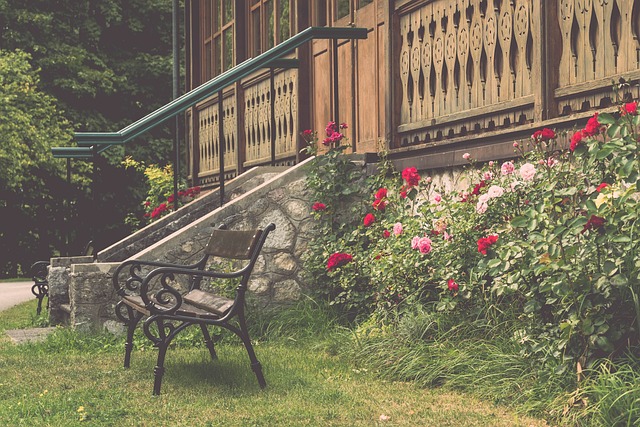 坛赛事中 坛赛事中