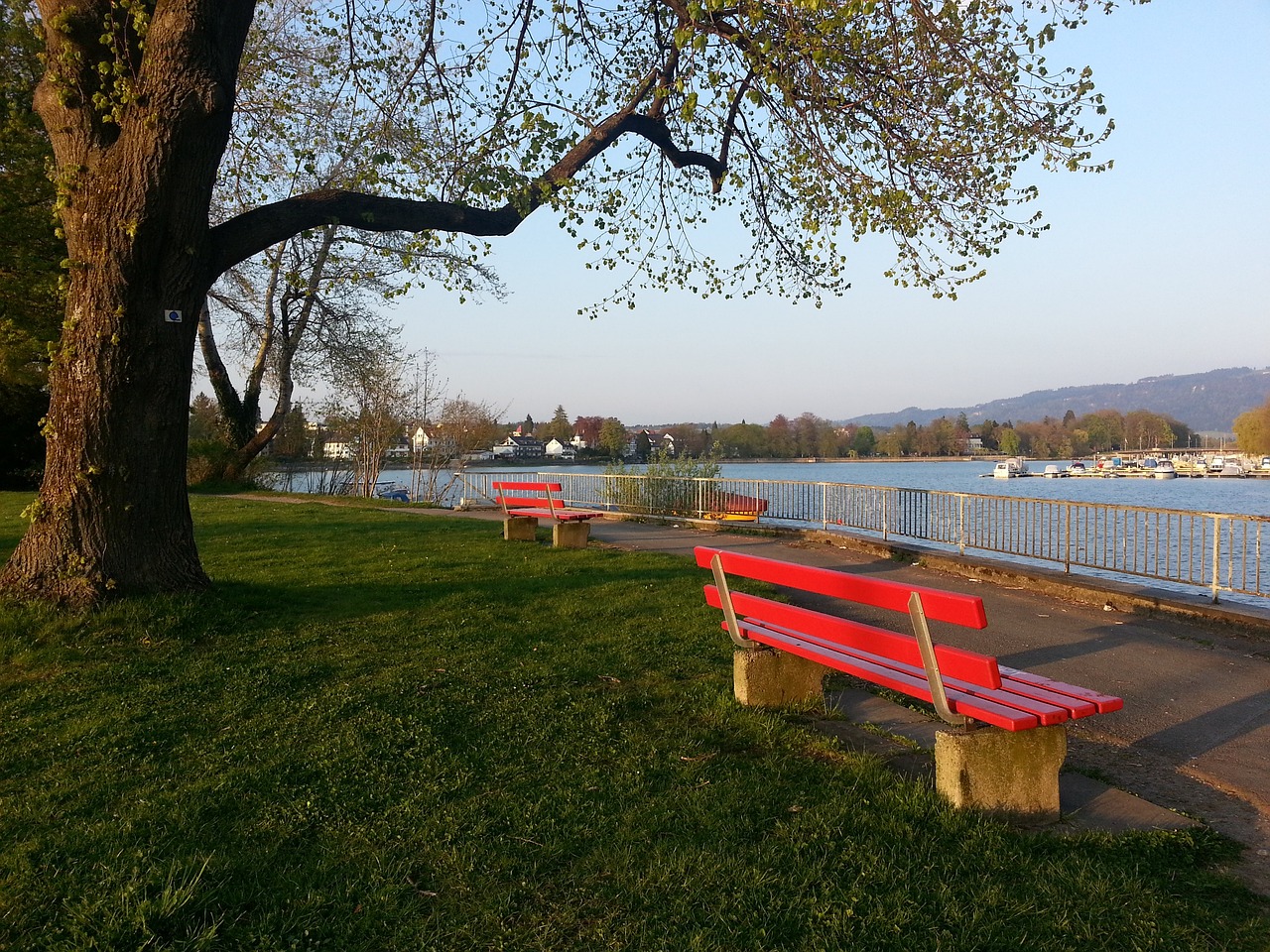 却全队共有 却全队共有