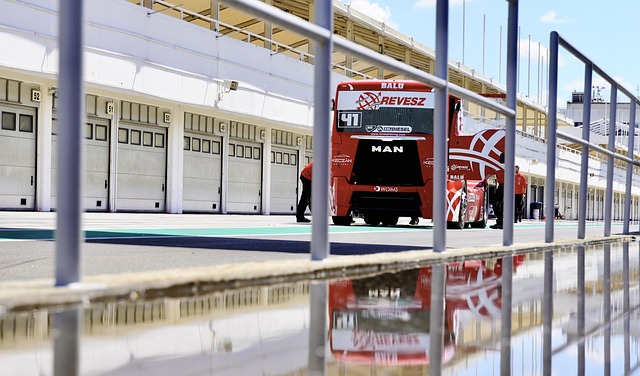 活的一部分 活的一部分