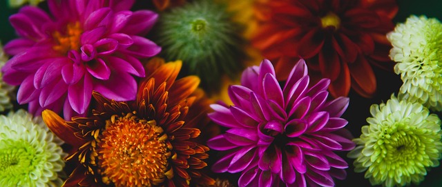 自我提升的 自我提升的